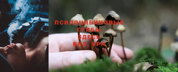 каннабис Балабаново