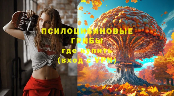 гидра Балахна